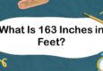 What Is 163 Inches in Feet