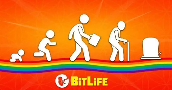What Is Karma In Bitlife
