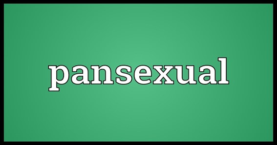 What Is Panasexual