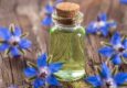 Discover the Unbelievable Health Benefits of Borage Oil